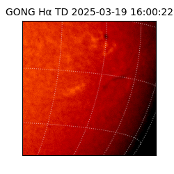 gong - 2025-03-19T16:00:22