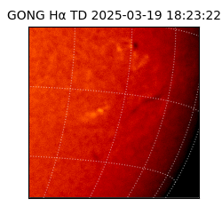 gong - 2025-03-19T18:23:22