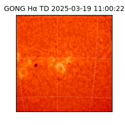 gong - 2025-03-19T11:00:22
