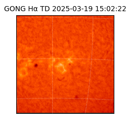 gong - 2025-03-19T15:02:22
