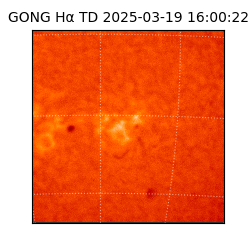 gong - 2025-03-19T16:00:22