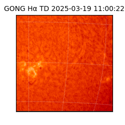 gong - 2025-03-19T11:00:22