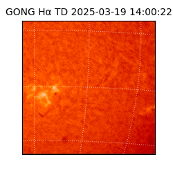 gong - 2025-03-19T14:00:22