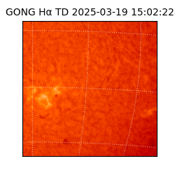 gong - 2025-03-19T15:02:22