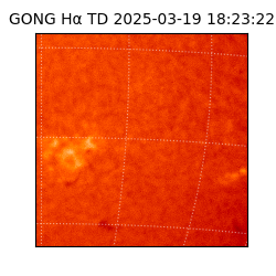 gong - 2025-03-19T18:23:22