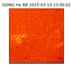 gong - 2025-03-19T23:00:02