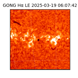 gong - 2025-03-19T06:07:42