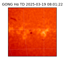 gong - 2025-03-19T08:01:22