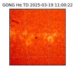 gong - 2025-03-19T11:00:22