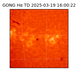 gong - 2025-03-19T16:00:22