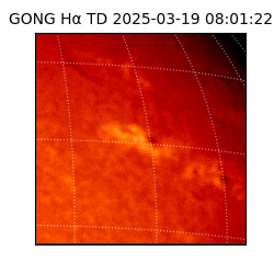 gong - 2025-03-19T08:01:22