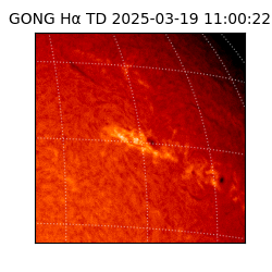gong - 2025-03-19T11:00:22