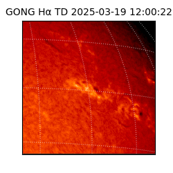 gong - 2025-03-19T12:00:22