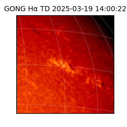 gong - 2025-03-19T14:00:22