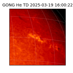 gong - 2025-03-19T16:00:22