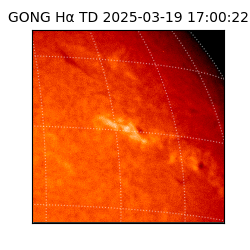 gong - 2025-03-19T17:00:22