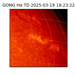gong - 2025-03-19T18:23:22