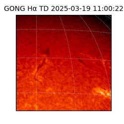 gong - 2025-03-19T11:00:22