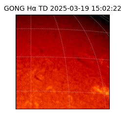 gong - 2025-03-19T15:02:22