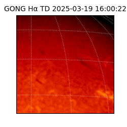 gong - 2025-03-19T16:00:22