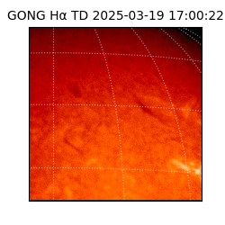 gong - 2025-03-19T17:00:22