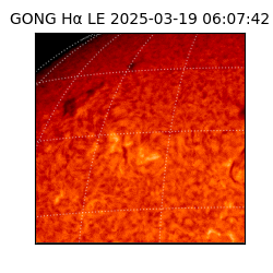gong - 2025-03-19T06:07:42