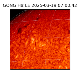 gong - 2025-03-19T07:00:42
