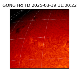 gong - 2025-03-19T11:00:22