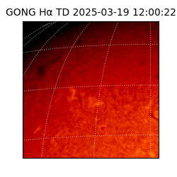 gong - 2025-03-19T12:00:22