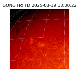gong - 2025-03-19T13:00:22