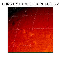 gong - 2025-03-19T14:00:22