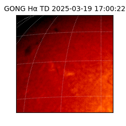 gong - 2025-03-19T17:00:22