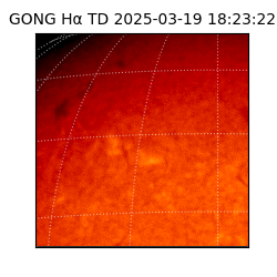 gong - 2025-03-19T18:23:22
