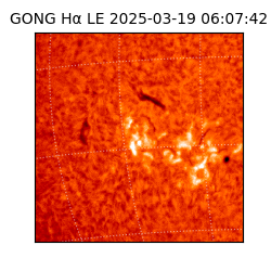 gong - 2025-03-19T06:07:42
