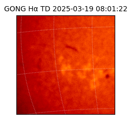 gong - 2025-03-19T08:01:22