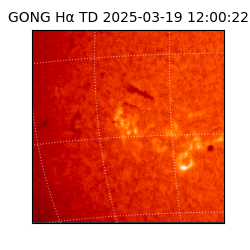 gong - 2025-03-19T12:00:22