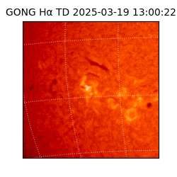 gong - 2025-03-19T13:00:22