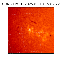 gong - 2025-03-19T15:02:22