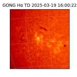 gong - 2025-03-19T16:00:22