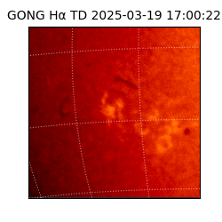 gong - 2025-03-19T17:00:22