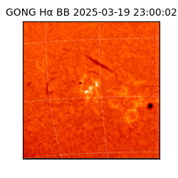 gong - 2025-03-19T23:00:02