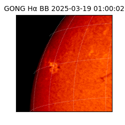 gong - 2025-03-19T01:00:02