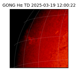 gong - 2025-03-19T12:00:22