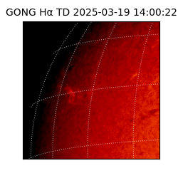 gong - 2025-03-19T14:00:22