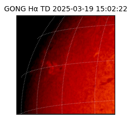 gong - 2025-03-19T15:02:22