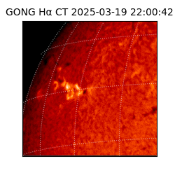 gong - 2025-03-19T22:00:42