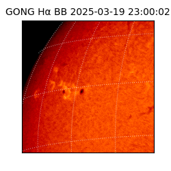 gong - 2025-03-19T23:00:02