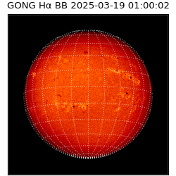 gong - 2025-03-19T01:00:02