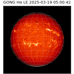 gong - 2025-03-19T05:00:42