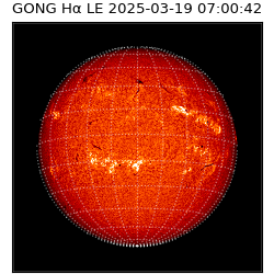 gong - 2025-03-19T07:00:42
